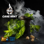 Табак Black Burn Cane Mint (Перечная Мята) 100г Акцизный